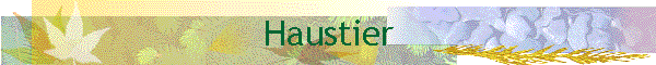 Haustier