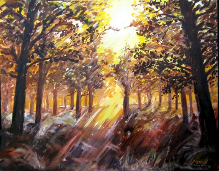 herbstwald, gegenlicht