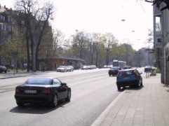 Blick vom Knoblauchsland zur Burg