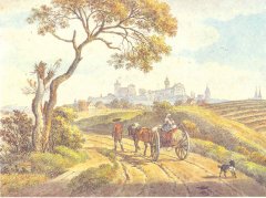 Blick vom Knoblauchsland zur Burg