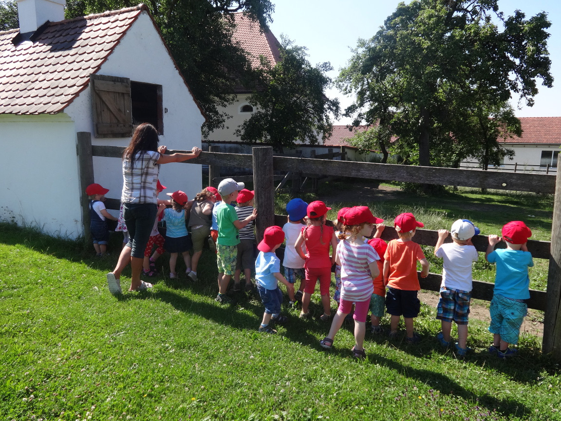 Bauerhof Bauerhof