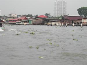 Menam Chao Phraya, Wohnhuser am Ufer
