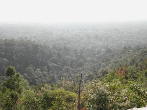 Aussichtspunkt ber dem Regenwald
